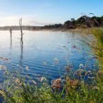 Image of sunrise over a lake.