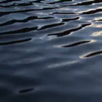 Hydro is how website banner